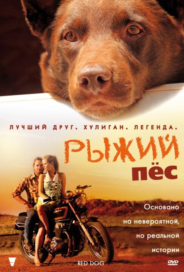 Фильм Рыжий пес (2011) смотреть онлайн в хорошем качестве